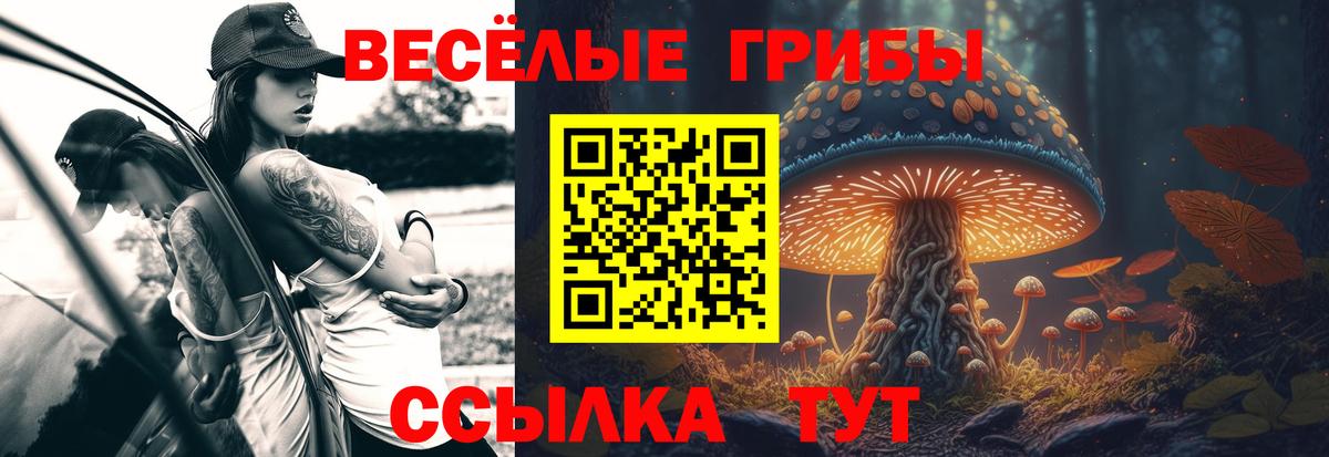 Галлюциногенные грибы мицелий Острогожск