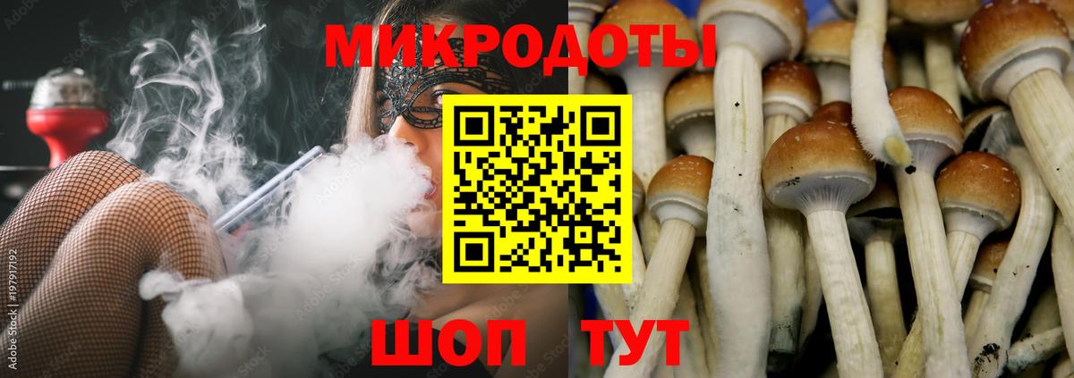 Галлюциногенные грибы Psilocybine cubensis  Галлюциногенные грибы прущие грибы  Вход с VPN  Острогожск 